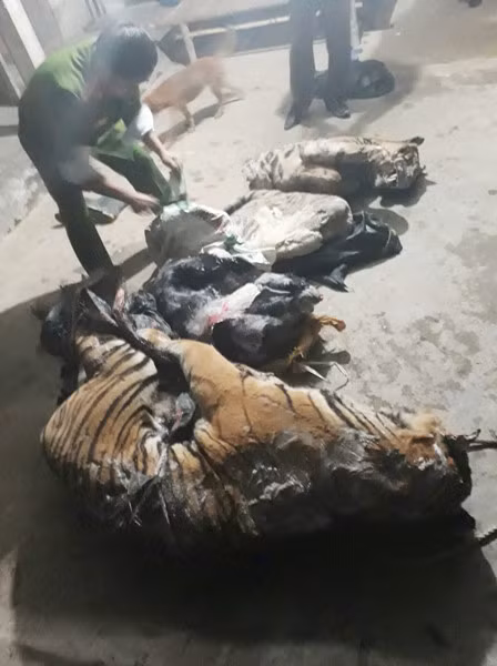 Pha duong day mua ban 