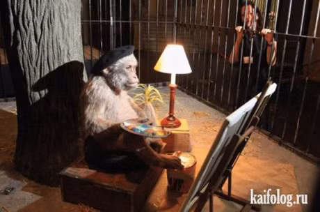 Cuoi vo bung voi hinh anh buon cuoi nhat tren doi - Anh 2