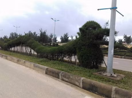 Nhung con rong trang tri Tet co hinh dang ky la nhat Viet Nam - Anh 3