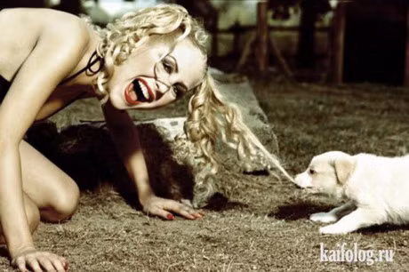 Cuoi vo bung voi hinh anh buon cuoi nhat tren doi - Anh 4