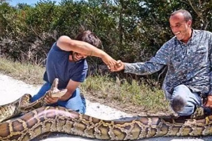 Giây phút kinh hoàng thợ săn bắt trăn khổng lồ dài 4,5m