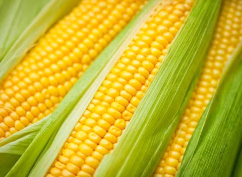 Những loại củ quả ít dư lượng thuốc trừ sâu nhất