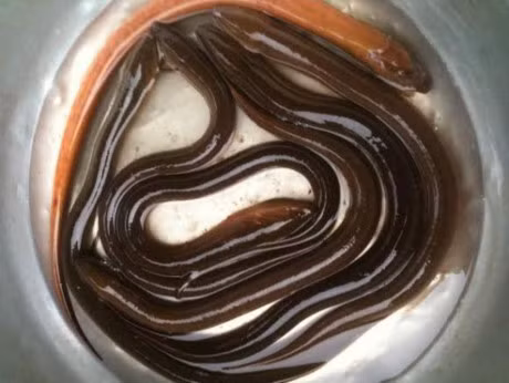 Can trong voi 5 mon an chua nhieu ky sinh trung gay hai cho suc khoe - Anh 2