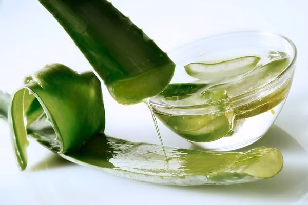 Các loại thảo dược cải thiện sức khỏe tinh thần và thể chất - Ảnh 3