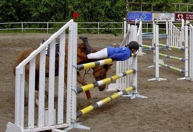 Hình ảnh các anh em cũng không đỡ nổi hình ảnh 12 hinh anh cac anh em cung khong do noi hinh anh 12