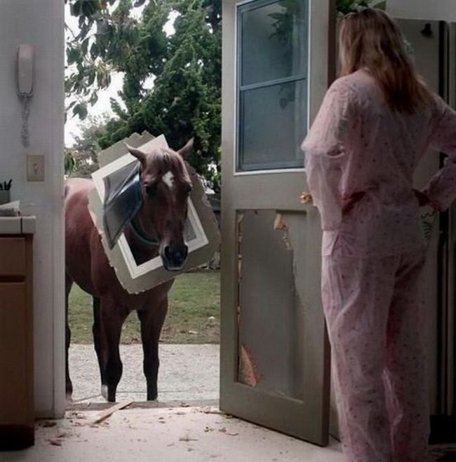 Hình ảnh các anh em cũng không đỡ nổi hình ảnh 10 hinh anh cac anh em cung khong do noi hinh anh 10