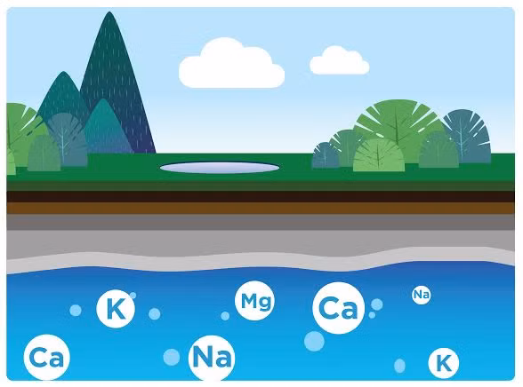 Tại sao phải phân biệt nước khoáng với nước tinh khiết? ảnh 2