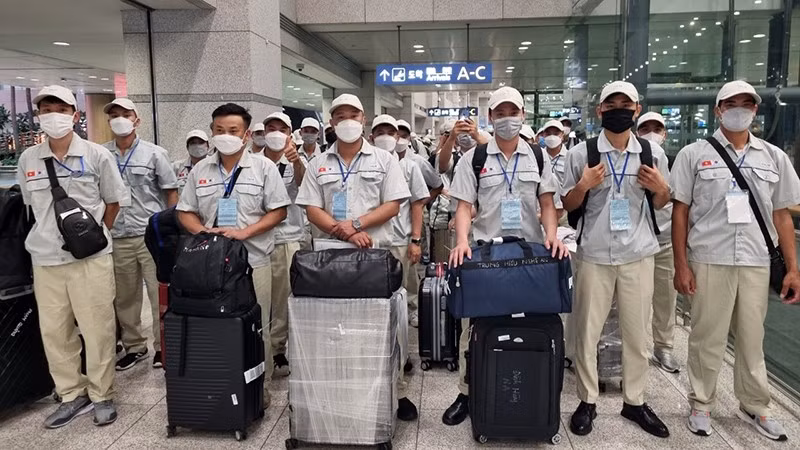 Lao động Việt Nam đi xuất khẩu lao động. Ảnh: Colab