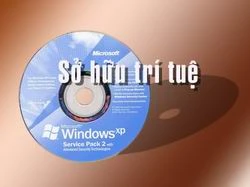 Đào tạo nghiệp vụ sở hữu trí tuệ cho khoảng 1 nghìn người 