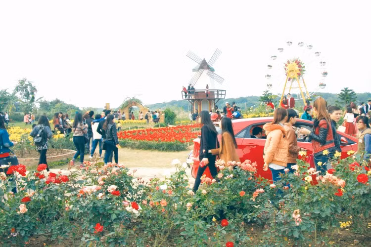 Du xuân. Ảnh: Thiên Thanh