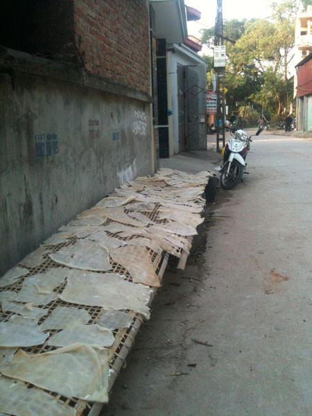 Bì lợn được phơi ngay ngoài đường. Bì lợn được phơi ngay ngoài đường.