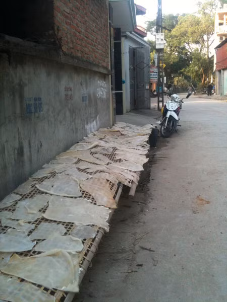 Bì lợn được phơi ngay ngoài đường.