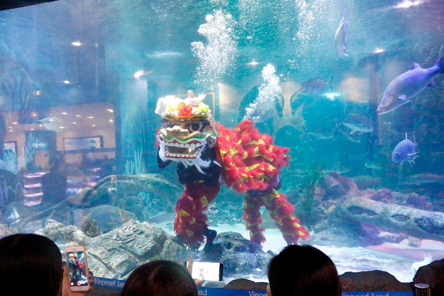 Hoạt động múa lân dưới nước tại Lễ hội Trung thu Vinpeal Land Nha Trang. Ảnh Vinpearl Land