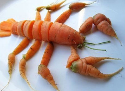 Món tôm hùm hầm cà rốt này. cuoi-te-ghe-18-10-luc-say-anh-goi-ten-ai-8