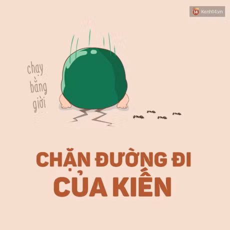 Nhung tro nghich dai ma khi con nho ai cung cam dau cam co lam - Anh 8