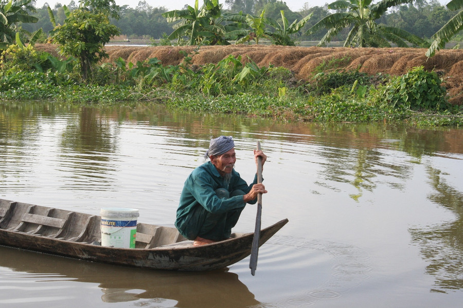 Hơn 80 tuổi nhưng ông vẫn bơi xuồng, nuôi cá, hái rau.