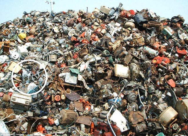 Thử tài “hại não“: Căng mắt tìm con báo và con mèo trong ảnh ảnh 8 Phát hiện ra con mèo rồi.