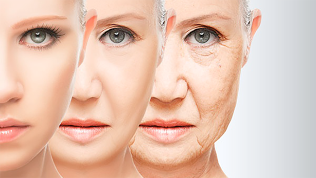 Cơ thể cũng như một cỗ máy, đừng đợi đến khi hư rồi mới đi bảo dưỡng! ảnh 1 Cơ thể cũng như một cỗ máy, đừng đợi đến khi hư rồi mới đi bảo dưỡng! ảnh 1