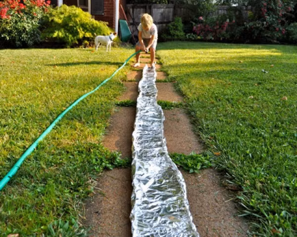 25 trò chơi tại nhà không tốn một xu mà vui “nổ trời” cho trẻ ảnh 10