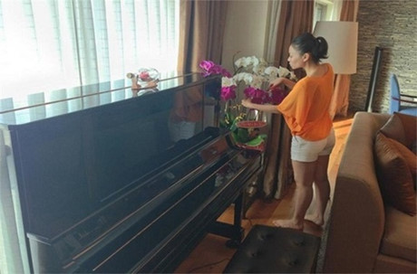 Khối tài sản của những mỹ nhân cùng tuổi: Thu Minh – Trần Thu Hà - Ảnh 2 Khoi tai san cua nhung my nhan cung tuoi: Thu Minh – Tran Thu Ha - Anh 2