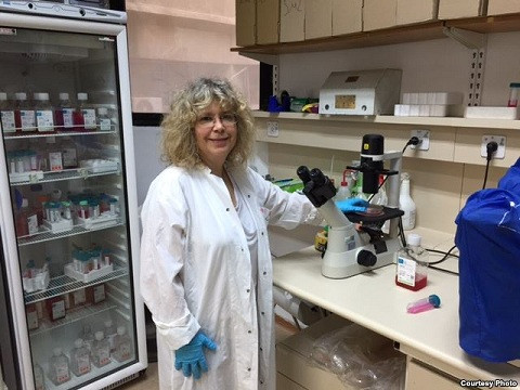 Giáo sư vi sinh vật Rina Rosin - Arbesfeld trong phòng thí nghiệm tại Đại học Tel Aviv