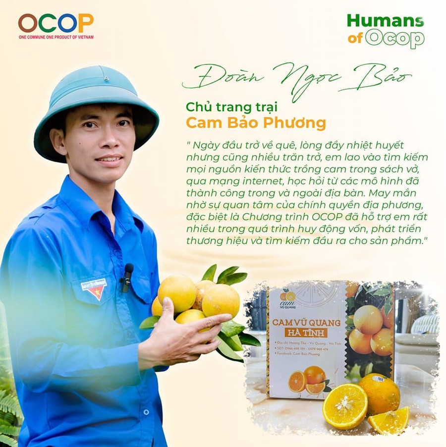 Anh Đoàn Ngọc Bảo, chủ mô hình kinh tế cam Bảo Phương (huyện Vũ Quang, Hà Tĩnh).