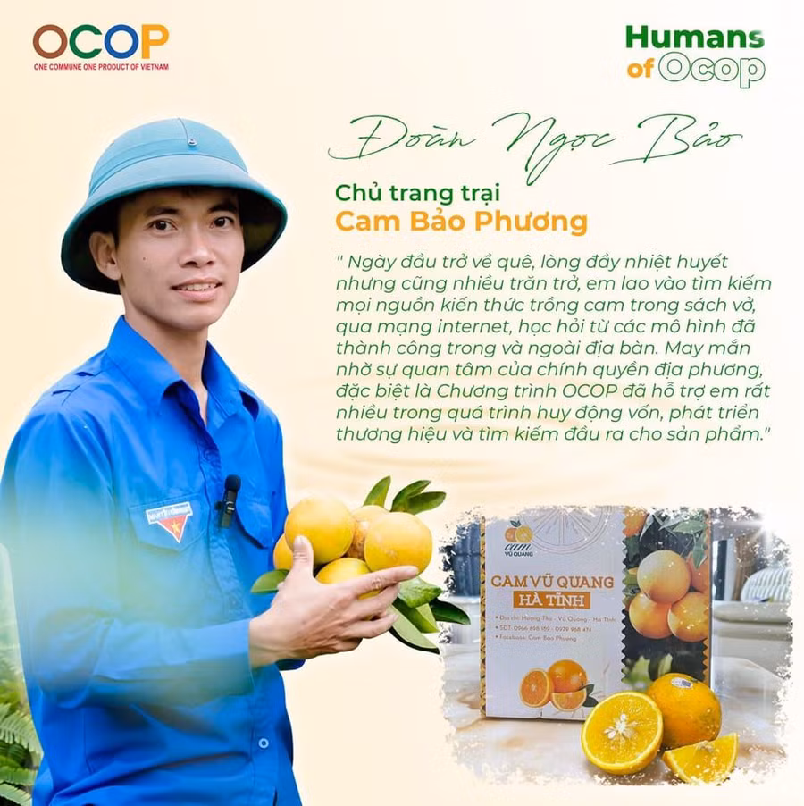 Anh Đoàn Ngọc Bảo, chủ mô hình kinh tế cam Bảo Phương (huyện Vũ Quang, Hà Tĩnh).