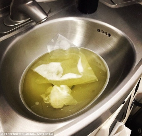 "Đi tiểu vào túi trên máy bay, chuyện khó tin nhưng là sự thật 100%" ảnh 4 "Đi tiểu vào túi trên máy bay, chuyện khó tin nhưng là sự thật 100%" ảnh 4