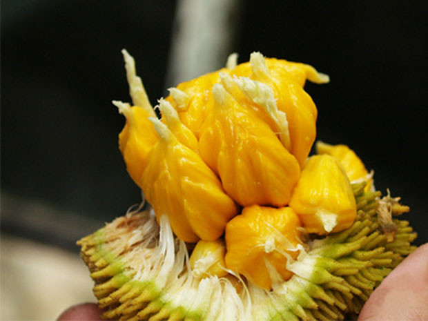 sai lầm khi ăn mít