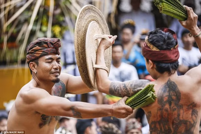 Usaba Sambah: Là một hoạt động trong lễ hội tháng 6, các chàng trai trẻ của vùng Tenganan (Indonesia) sẽ đóng khố và đấu võ. Họ sử dụng các cành cây với lá đầy gai để quật vào người nhau, chỉ với tấm khiên tre mỏng manh làm vũ khí tự vệ, nhằm gây ấn tượng cho “bạn đời tiềm năng”. Các cô gái sẽ ngồi trên một đu quay bằng gỗ và quan sát. Du quay chỉ dừng lại khi trận đấu kết thúc. Ảnh: Daily Mail. Usaba Sambah: Là một hoạt động trong lễ hội tháng 6, các chàng trai trẻ của vùng Tenganan (Indonesia) sẽ đóng khố và đấu võ. Họ sử dụng các cành cây với lá đầy gai để quật vào người nhau, chỉ với tấm khiên tre mỏng manh làm vũ khí tự vệ, nhằm gây ấn tượng cho “bạn đời tiềm năng”. Các cô gái sẽ ngồi trên một đu quay bằng gỗ và quan sát. Du quay chỉ dừng lại khi trận đấu kết thúc. Ảnh: Daily Mail.