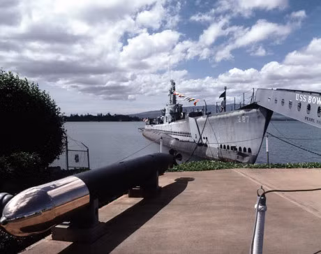 Ta hoa voi dan vu khi 