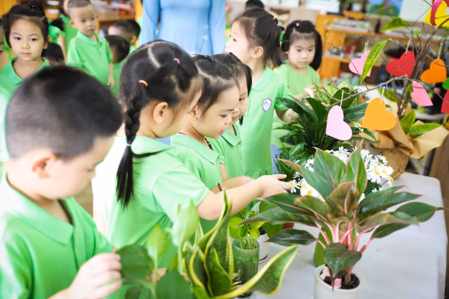 Khai giảng năm học mới tràn ngập màu xanh.