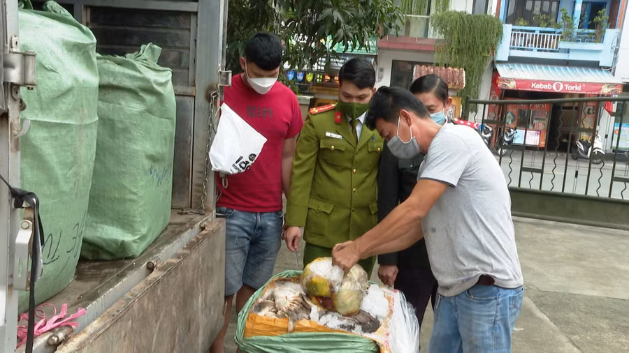 Hơn 1 tấn nội tạng không rõ nguồn gốc xuất xứ bị lực lượng chức năng tỉnh Thừa Thiên Huế bắt giữ.