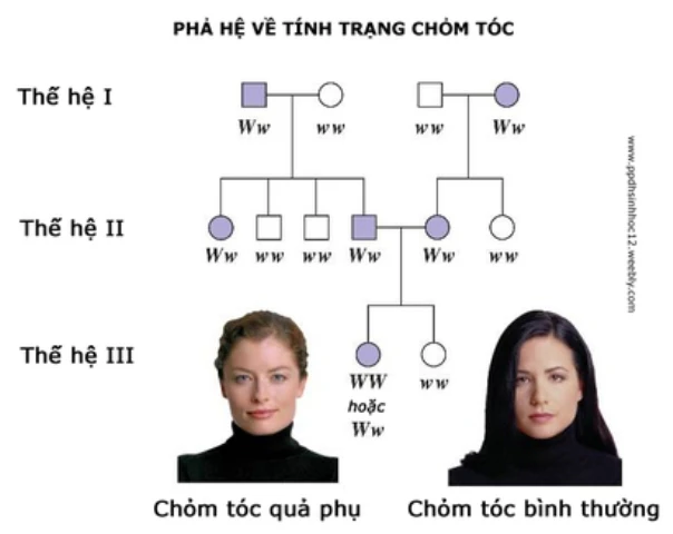 Ảnh minh họa/internet