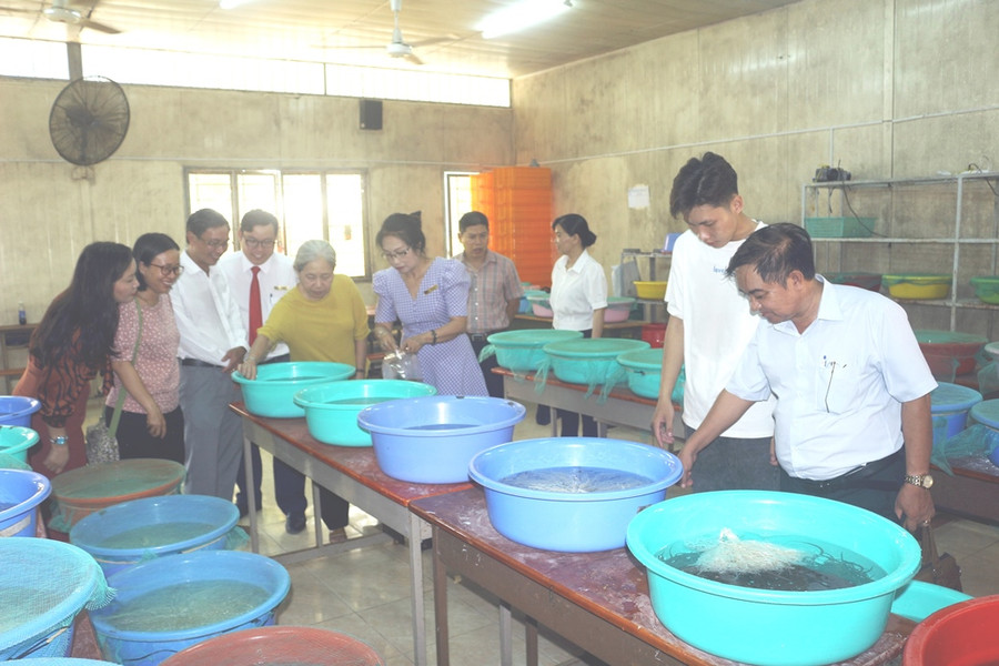 Khảo sát mô hình thử nghiệm và ứng dụng sản xuất lươn đồng.