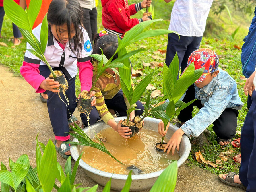 Học sinh được hướng dẫn các công đoạn trồng cây cau giống. (Ảnh: Thu Trà).