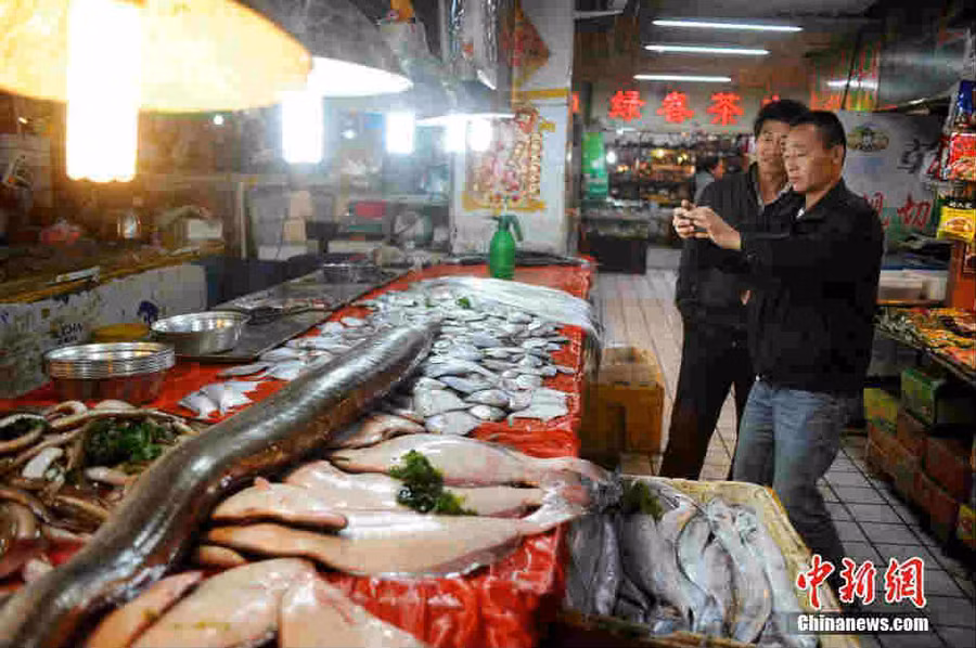 Phát hiện lươn biển 