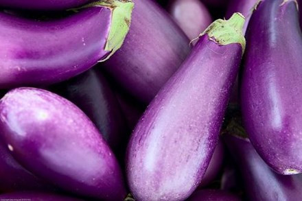 Tác dụng chữa vô số bệnh từ cà tím