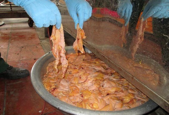 Ngày 1/10/2014, Đoàn Kiểm tra liên ngành phòng chống dịch gia súc, gia cầm huyện Bình Chánh, TP.HCM bất ngờ kiểm tra tại địa chỉ F7/1C ấp 6, xã Vĩnh Lộc B, huyện Bình Chánh phát hiện cơ sở sản xuất chà bông quy mô lớn nhưng không có giấy phép và điều kiện vệ sinh cơ sở không đảm bảo an toàn thực phẩm. (Ảnh: Laodong) Những vụ phát hiện thực phẩm bẩn khiến người dùng sợ hãi
