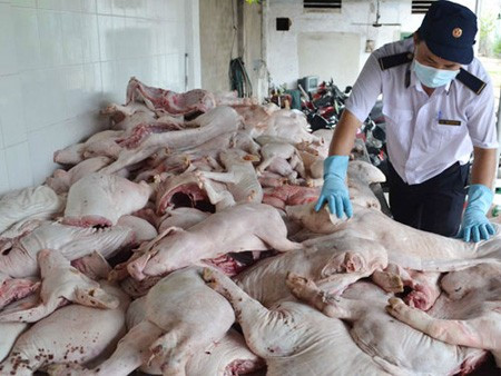 Cụ thể, sáng 3/6/2013, hơn 600 kg heo sữa và nội tạng không rõ nguồn gốc xuất xứ bị thu giữ tại Thủ Đức; 1 tấn heo sữa đông lạnh không được đóng dấu kiểm soát giết mổ với kết quả xét nghiệm 5 mẫu heo sữa trên thì có 4 mẫu nhiễm vi khuẩn Salmonella (vi khuẩn gây tiêu chảy ở người) bị thu giữ ngày 7/6/2013; ngày 1/7/2013, cảnh sát giao thông Công an tỉnh Thừa Thiên - Huế đã phát hiện và bắt giữ một ô tô tải chở 800kg thịt heo sữa nguyên con, không có giấy kiểm dịch, đang bốc mùi di chuyển vào TP.HCM; và ngày 10/7/2013 gần 600 kg heo sữa rỉ dịch, xuất huyết da trên xe khách lưu thông trên QL1, hướng từ Đồng Nai về TP. HCM cũng bị phát hiện. (Ảnh: Vietnamnet) Những vụ phát hiện thực phẩm bẩn khiến người dùng sợ hãi
