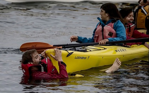 Cá voi 40 tấn bay lên mặt nước 