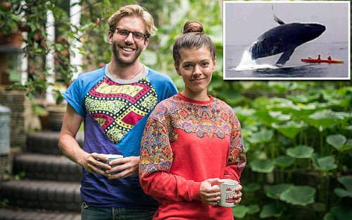 Cá voi 40 tấn bay lên mặt nước 