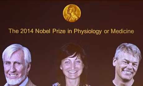 Công trình về GPS não bộ đoạt giải Nobel Y học 2014 ảnh 1 - 1