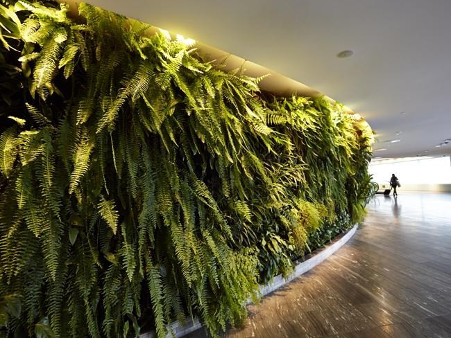 Bí mật phòng chờ máy bay VIP như nhà hàng 5 sao ảnh 3