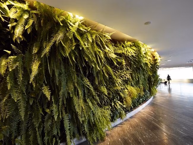 Bí mật phòng chờ máy bay VIP như nhà hàng 5 sao ảnh 3