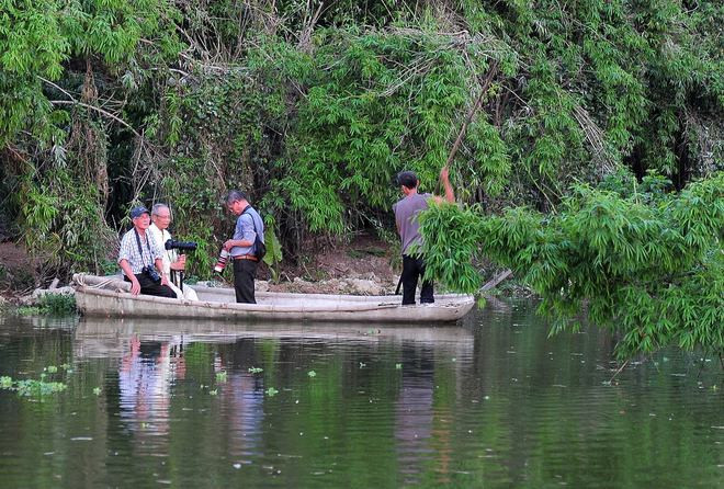 Vương quốc của các loài cò ở Hải Dương ảnh 5