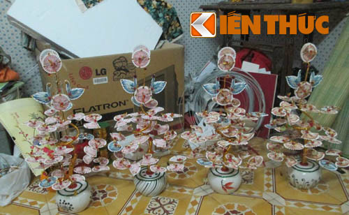 Làm cây tiền thật là nghề làm thêm mới của nhiều sinh viên.