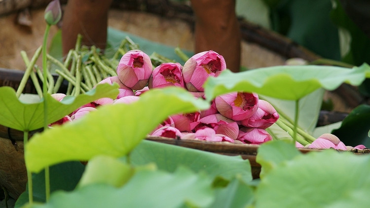 Ảnh minh họa ITN. Ảnh minh họa ITN.