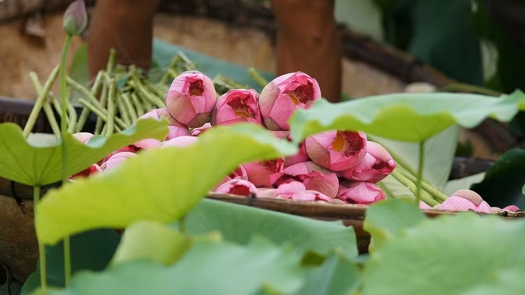 Ảnh minh họa ITN. Ảnh minh họa ITN.