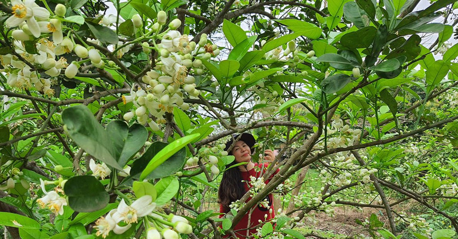 Ảnh minh họa ITN.